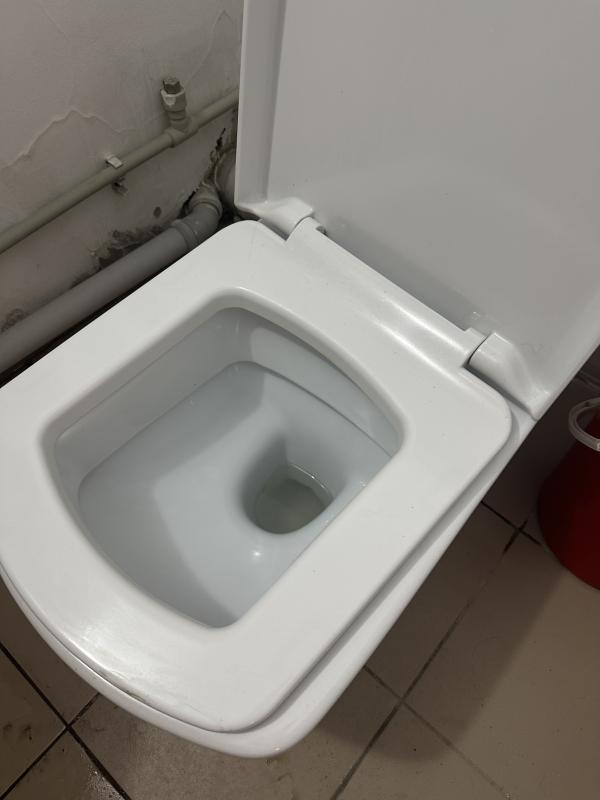 IMG_6077.jpeg