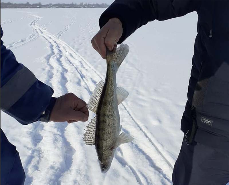 Зимняя рыбалка на озере Алаколь