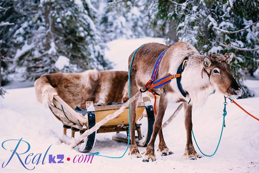 Боровое зимой