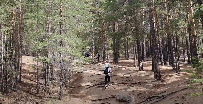 Путь на смотровую площадку