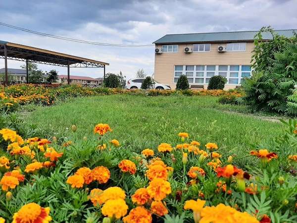 АкДениз 2025 семейный пансионат без спиртного