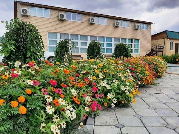 АкДениз 2025 семейный пансионат без спиртного