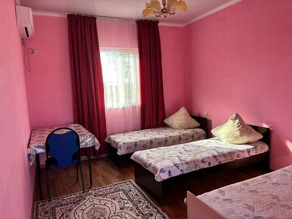 Абрикос Алаколь