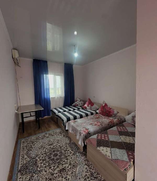 Абрикос Алаколь