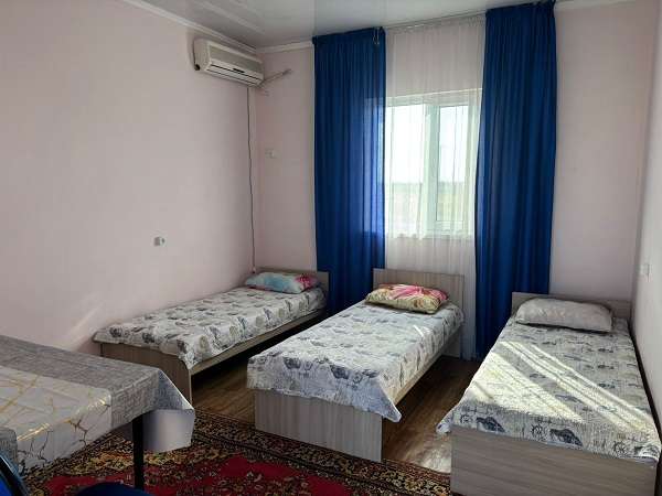 Абрикос Алаколь