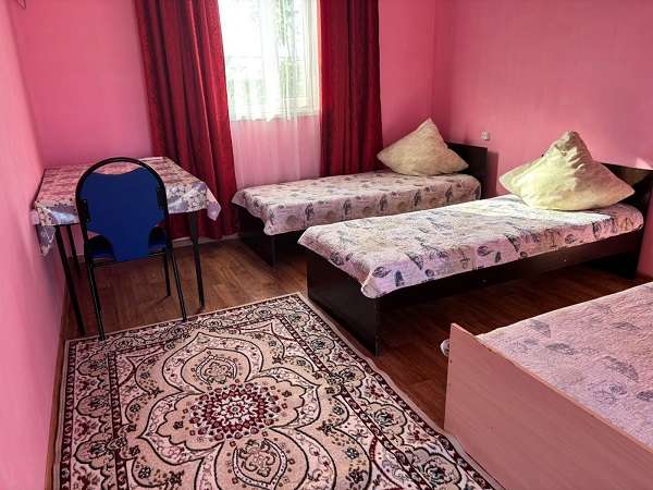 Абрикос Алаколь