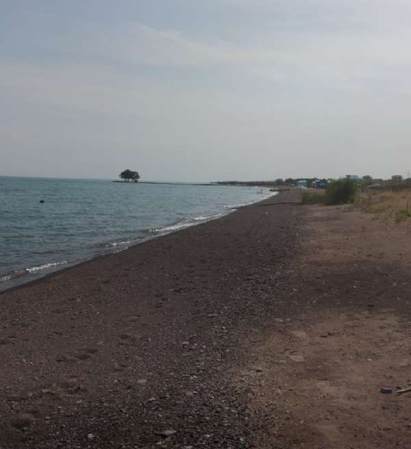 Рено Прованс В 2026 году не работают