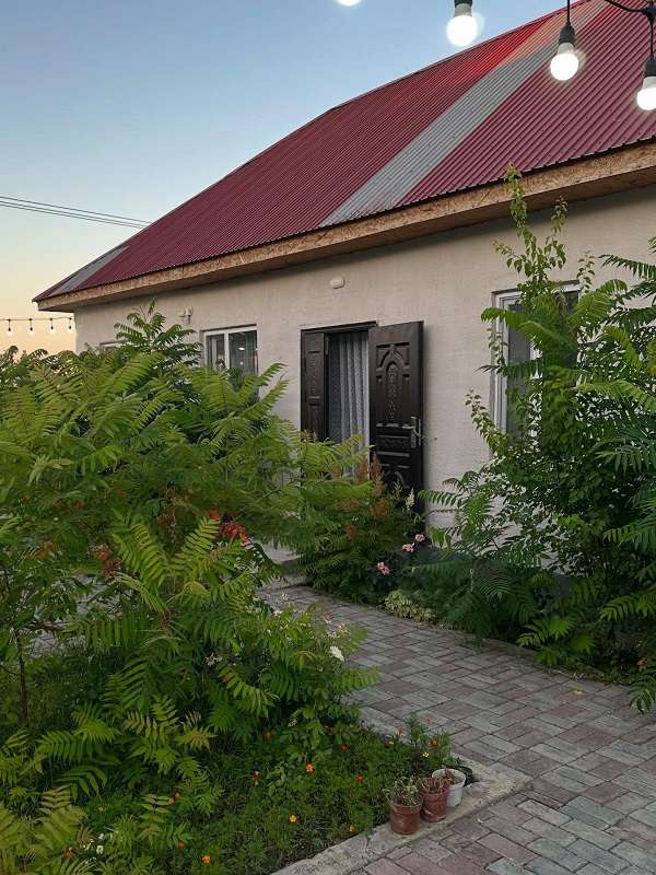 Алаколь База отдыха Самалия низкие цены – Real-KZ.com