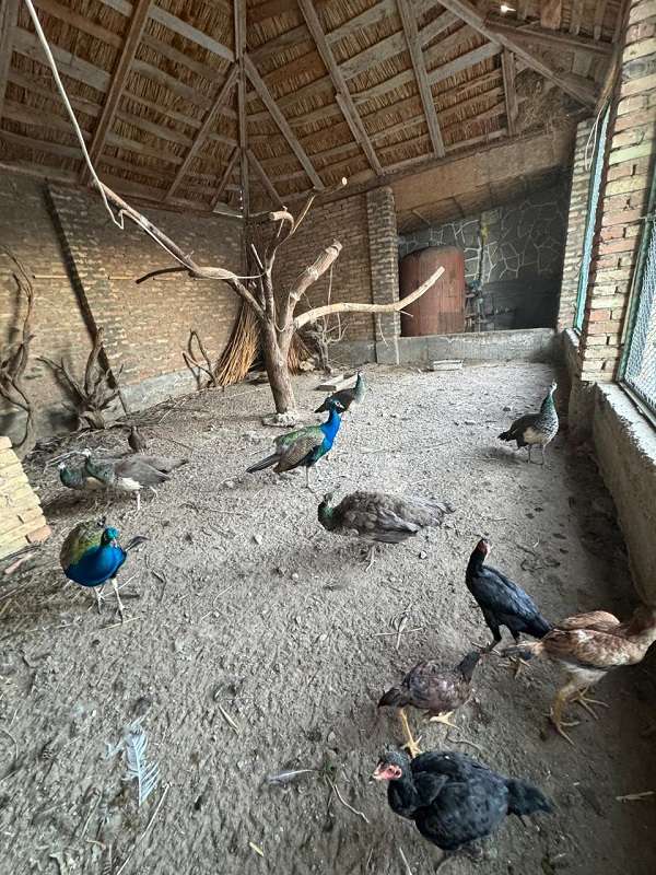 Зона отдыха Кашгар