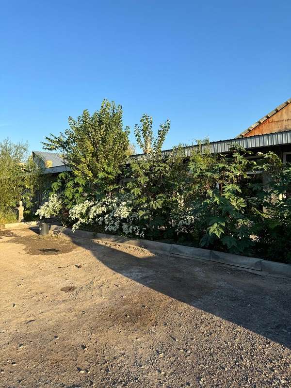 Зона отдыха Кашгар