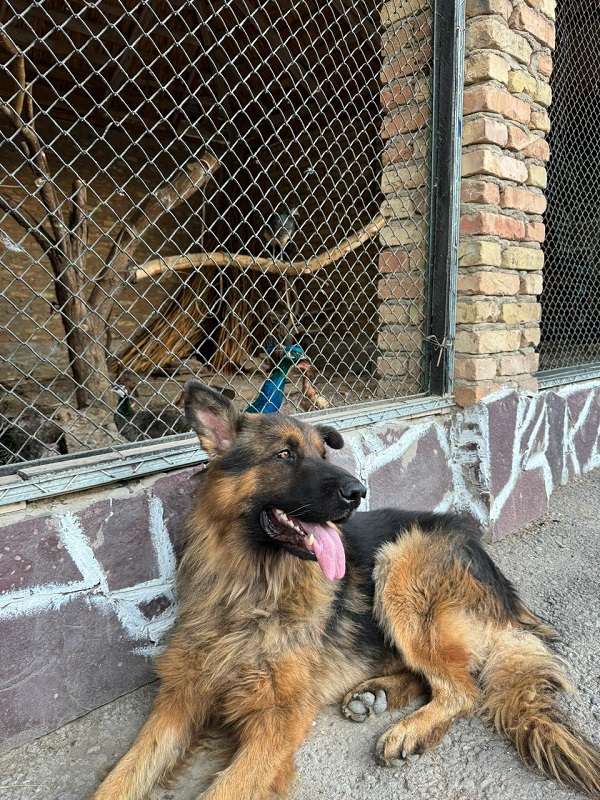 Зона отдыха Кашгар