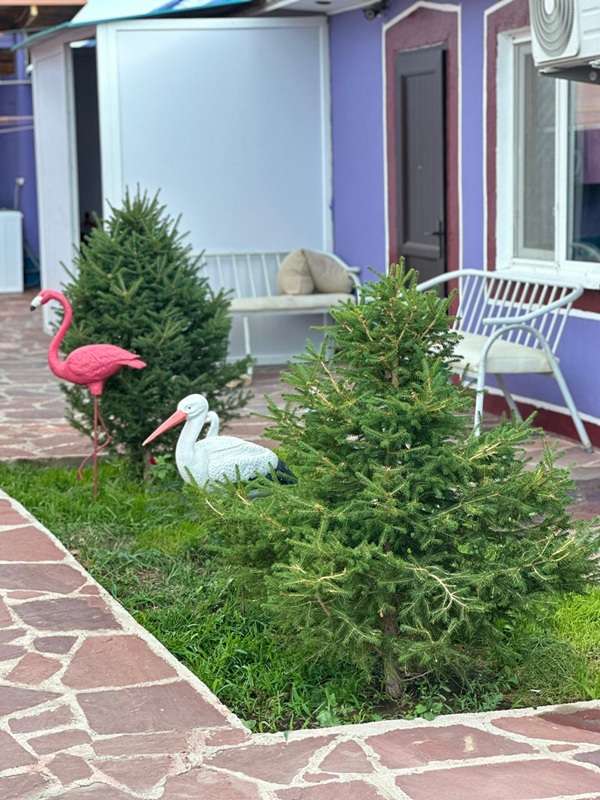 Зона отдыха Фламинго