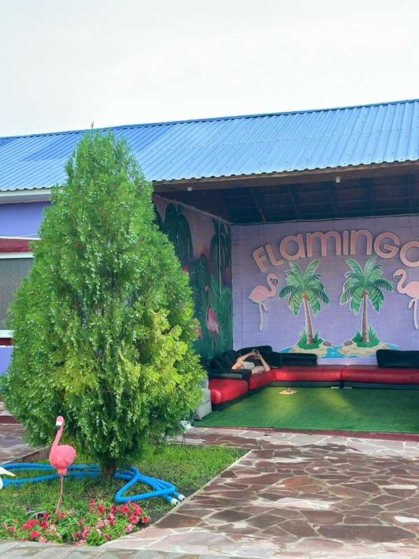 Зона отдыха Фламинго