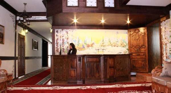 Гостиница Метелица