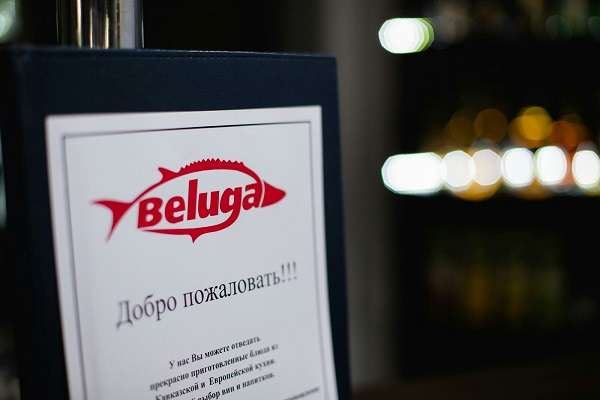 Кафе BELUGA