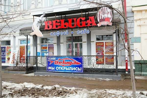 Кафе BELUGA