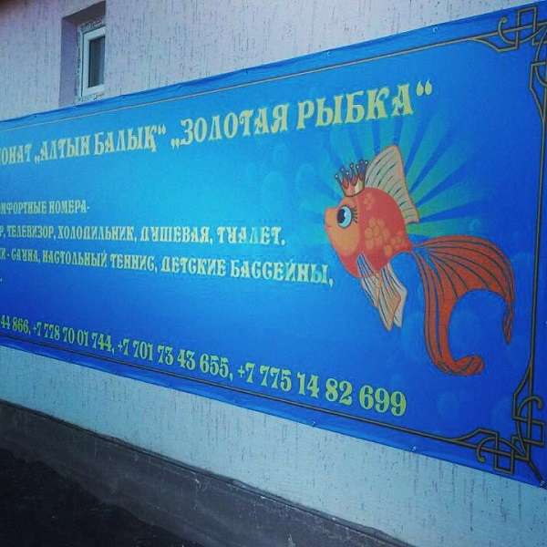 Недорогая база отдыха Алтын Балык (Золотая рыбка)
