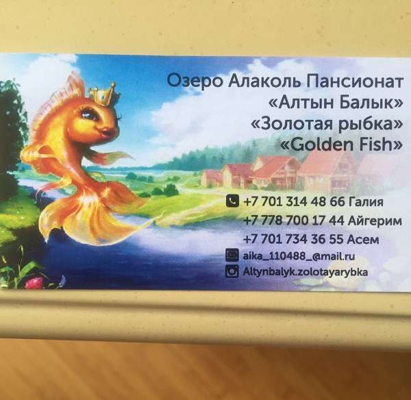 Недорогая база отдыха Алтын Балык (Золотая рыбка)