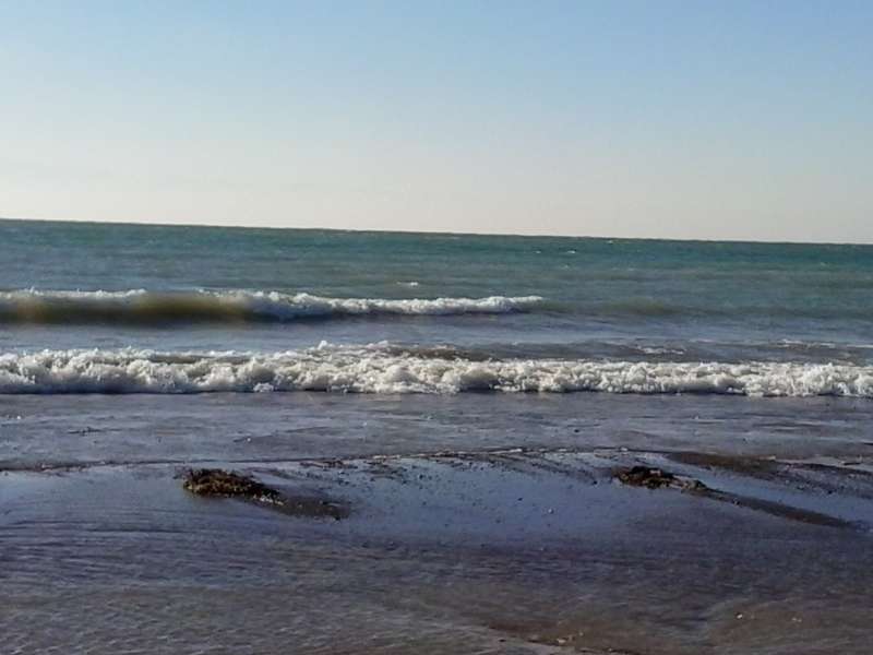 Медведь зона отдыха на Капчагае