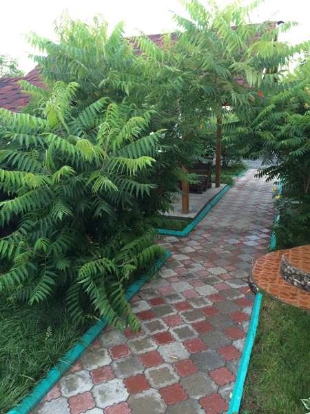 База семейного отдыха Фрегат