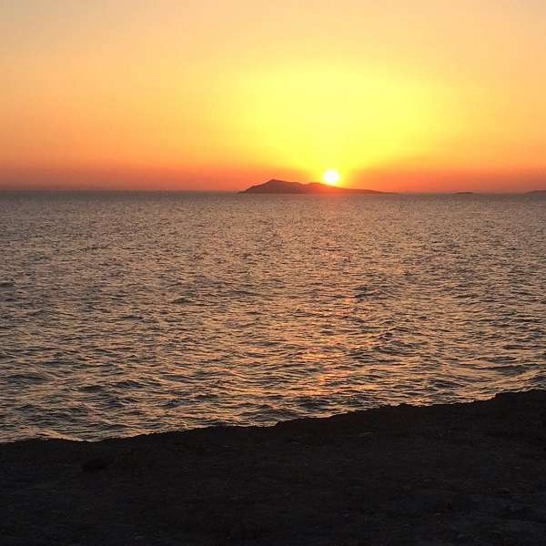 Пансионат Чикаго