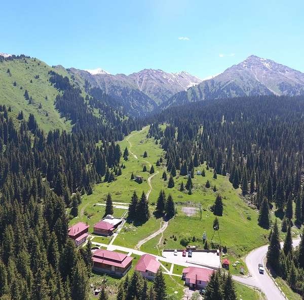 Гостиница Альпийская Роза