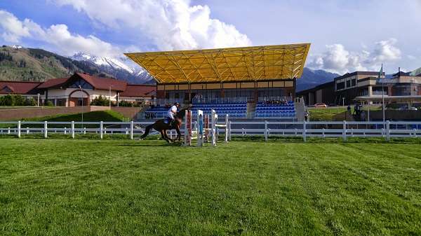 Конноспортивный комплекс Almaty Horse and Polo Club