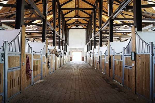 Конноспортивный комплекс Almaty Horse and Polo Club