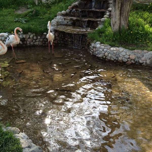 Зона отдыха Ак-орда