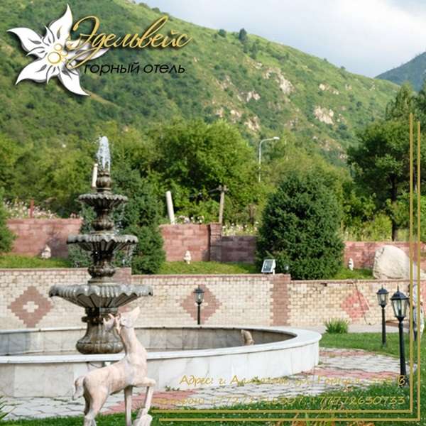 Горный отель Эдельвейс