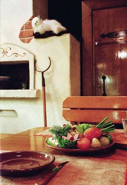 Трактир Медведь