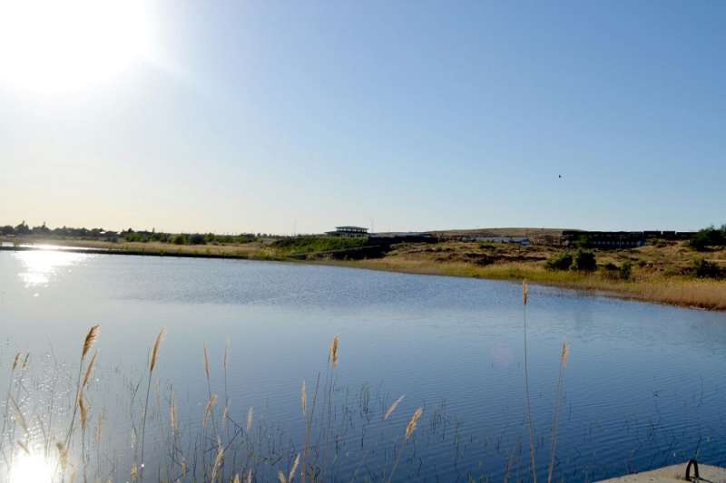 Вилла Лазурный берег