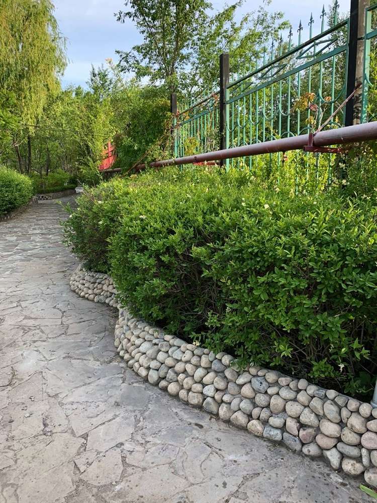 Зона отдыха Капуста