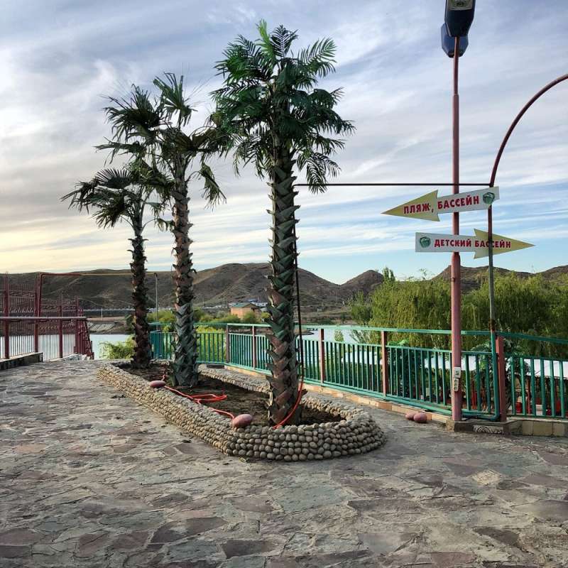 Зона отдыха Капуста