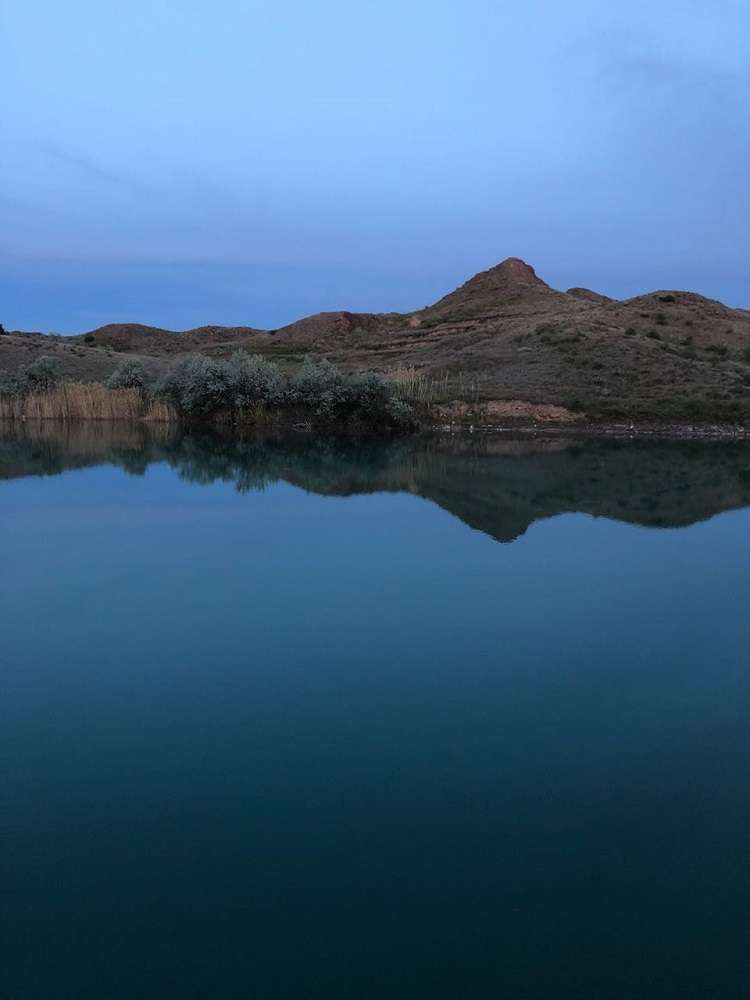 Зона отдыха Капуста