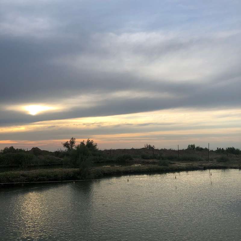 Зона отдыха Адал