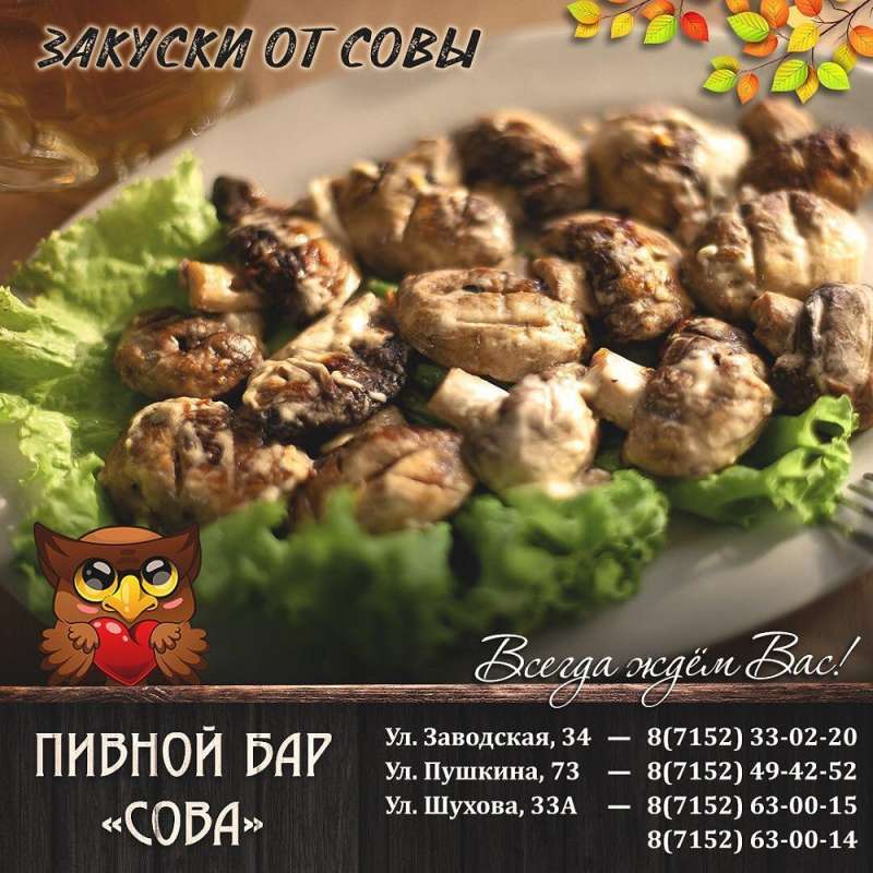 Пивной бар Сова