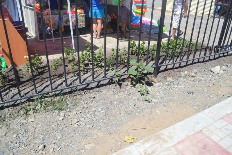 База отдыха Арыс