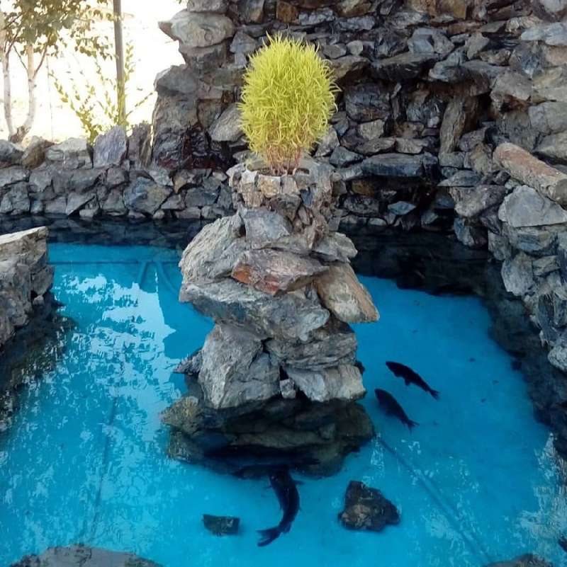 Зона отдыха Рахат