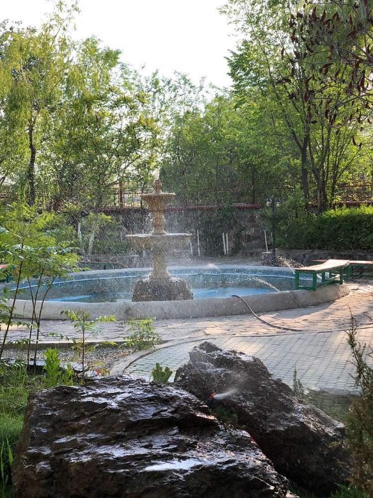 Зона отдыха Капуста