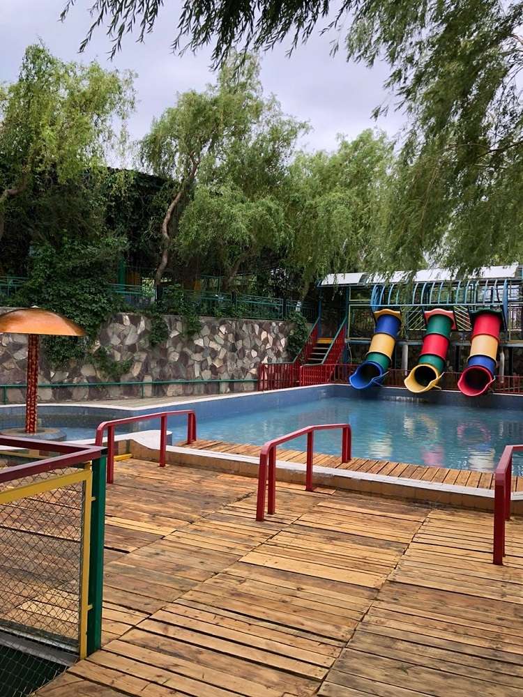 Зона отдыха Капуста