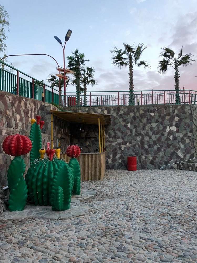 Зона отдыха Капуста