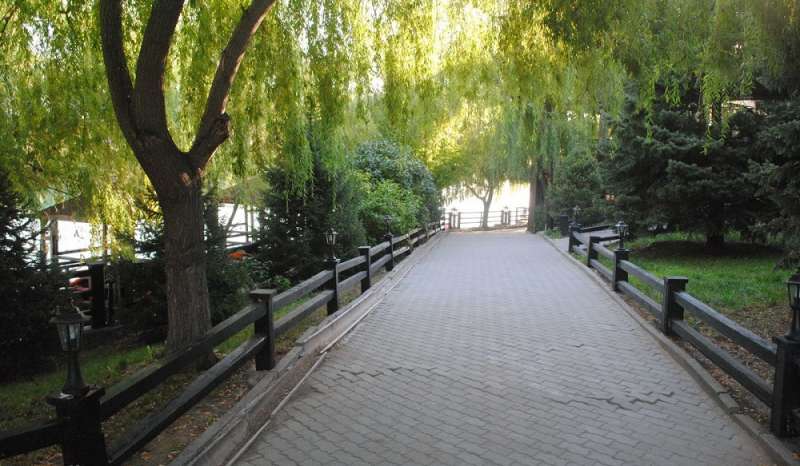 Зона отдыха Freedom