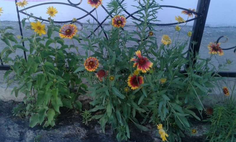 Зона отдыха Аквилон