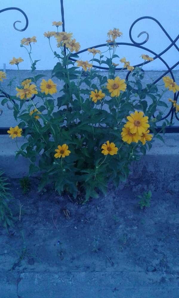 Зона отдыха Аквилон