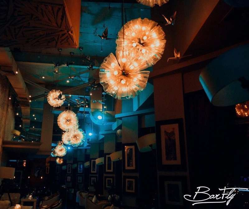 Lounge & bar BarFly
