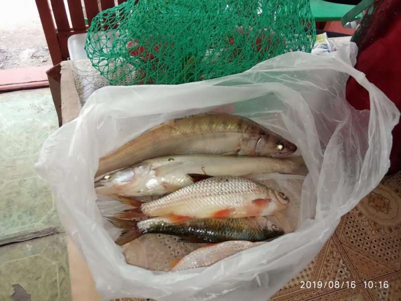 Медведь зона отдыха на Капчагае