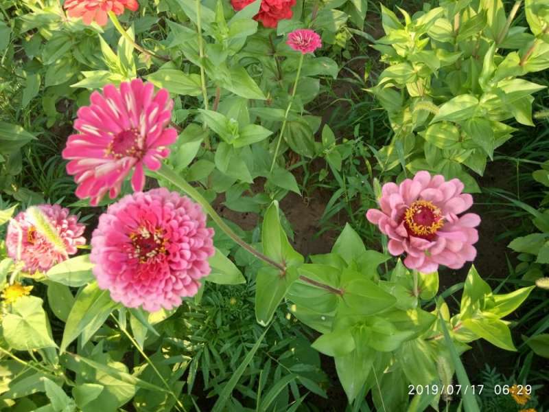 Медведь зона отдыха на Капчагае