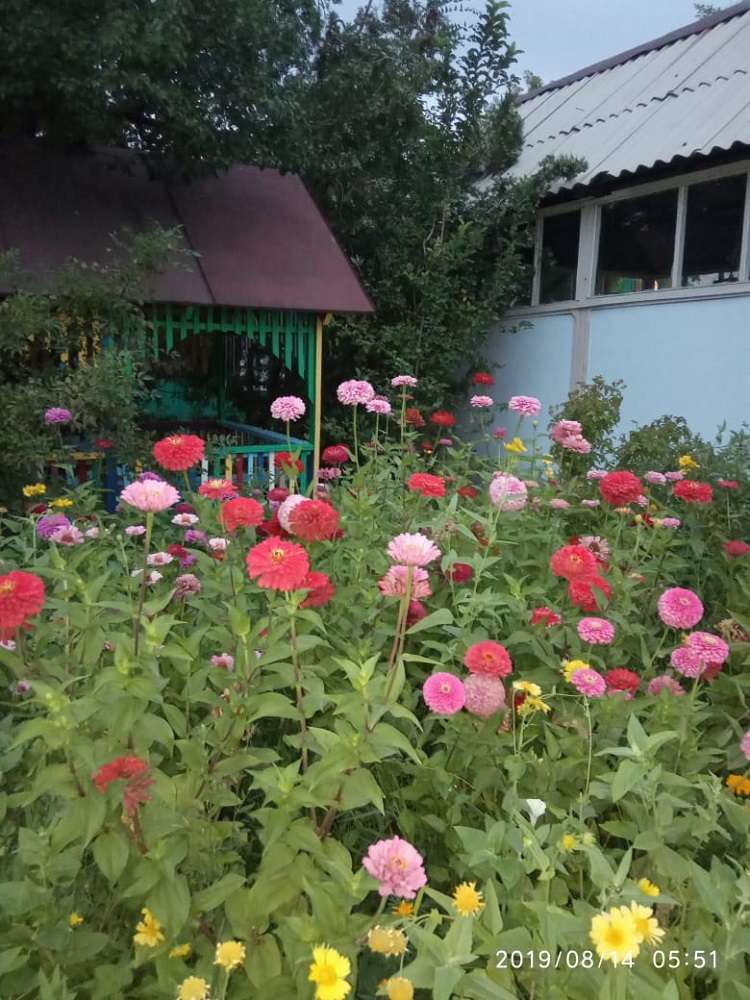 Медведь зона отдыха на Капчагае