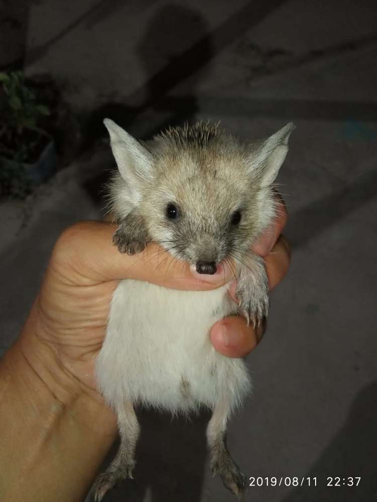 Медведь зона отдыха на Капчагае
